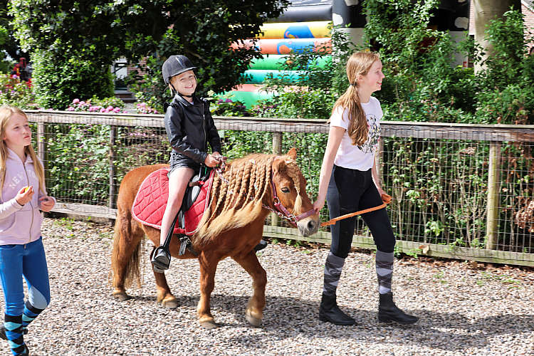 Rommelmarkt 2022 Waarder_103